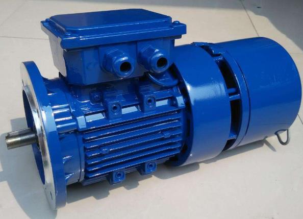 小型低壓剎車(chē)電機(jī)市場(chǎng)的發(fā)展前景分析